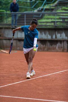 Bild 541 - BL Club an der Alster - THC von Horn und Hamm : Ergebnis: 9:0